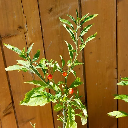 Hotel Porta Pantalica 3*