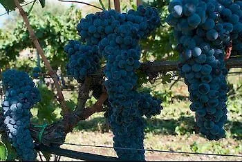 Hotel Porta Pantalica Ferla